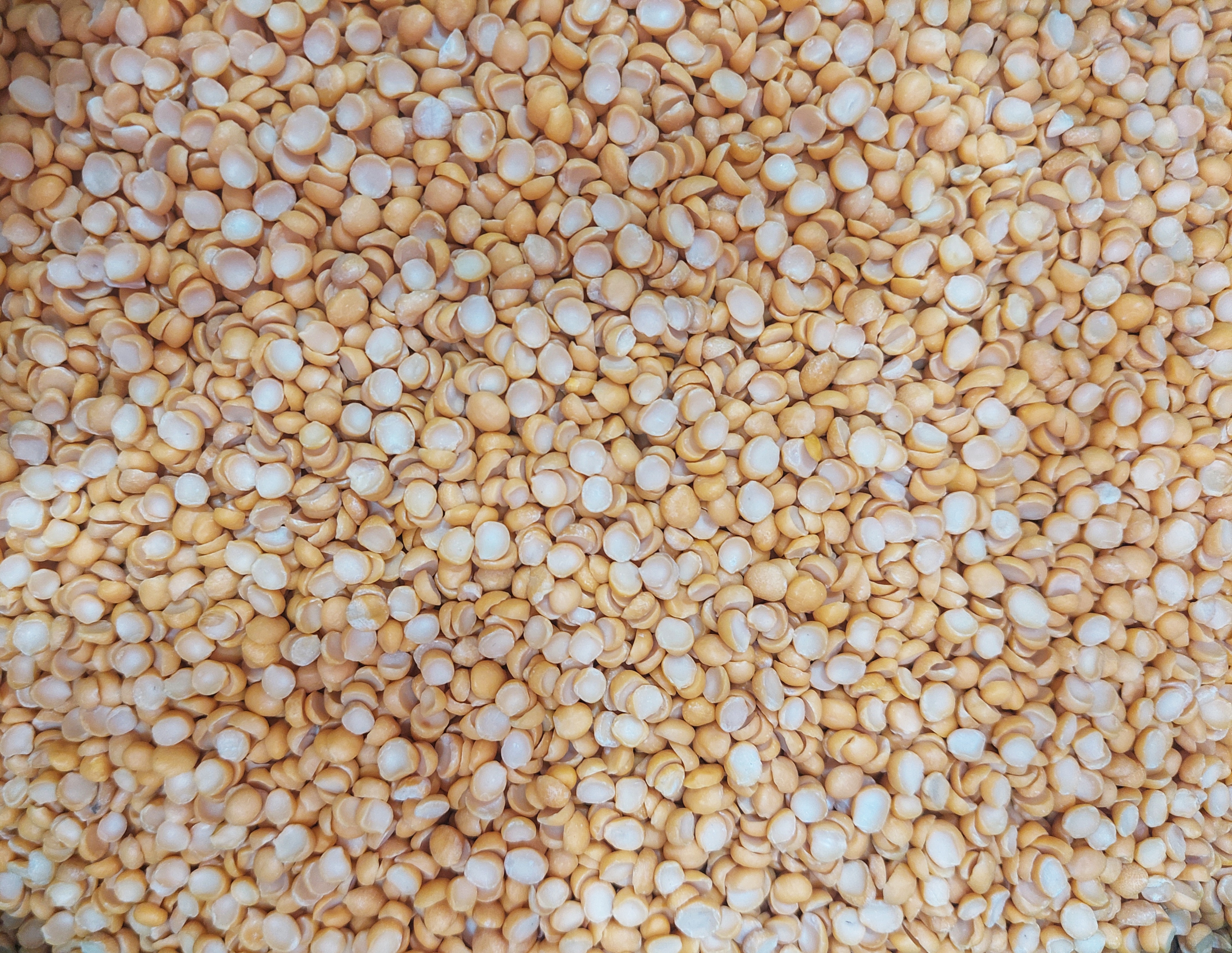 Long Shelf Life Split Peas Wholesale Supply for African Union Communities; Bulk Prices & Long Term Agreements